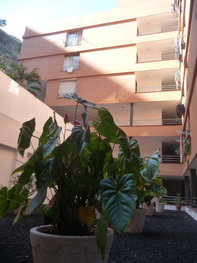 Apartmán Martianez Puerto de la Cruz  Exteriér fotografie