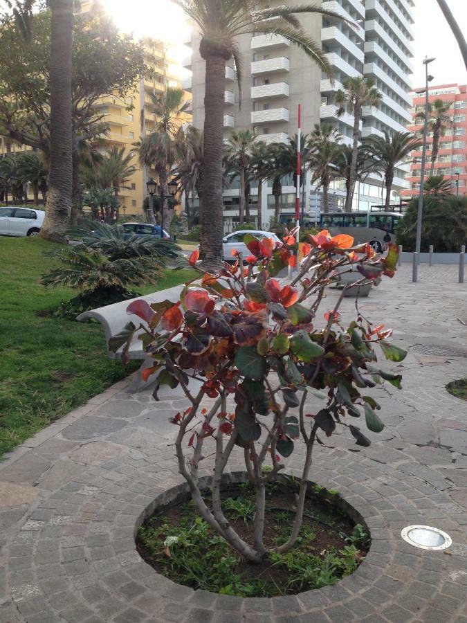 Apartmán Martianez Puerto de la Cruz  Exteriér fotografie